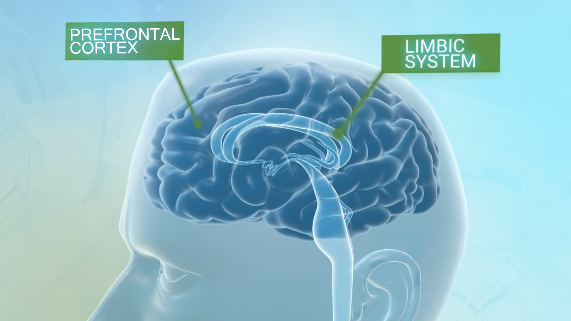 Depression, Your Brain & Deep TMS – ReNu Brain Treatment Center
